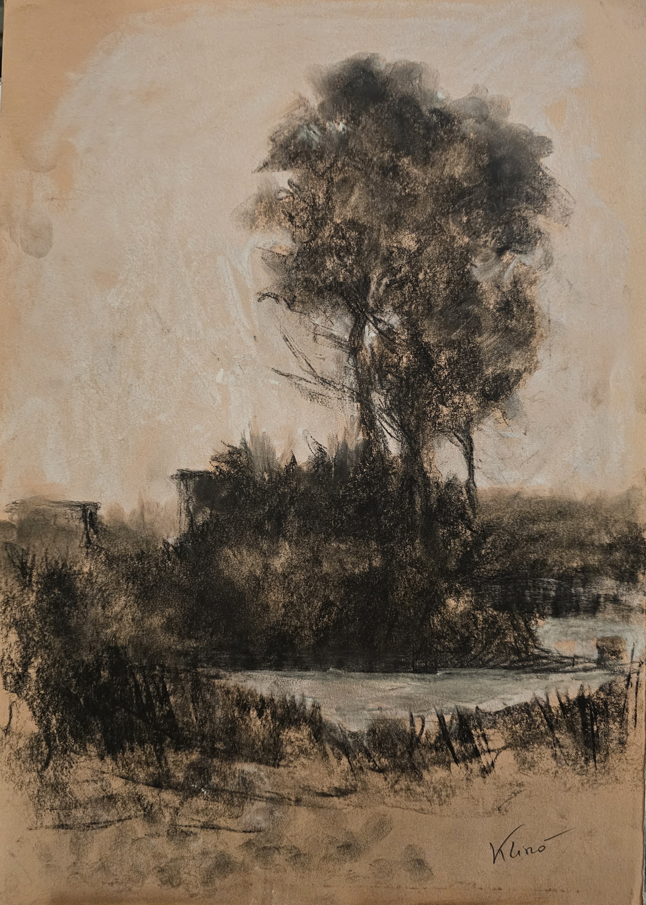 Disegno a carboncino di Klirò raffigurante paesaggio con alberi