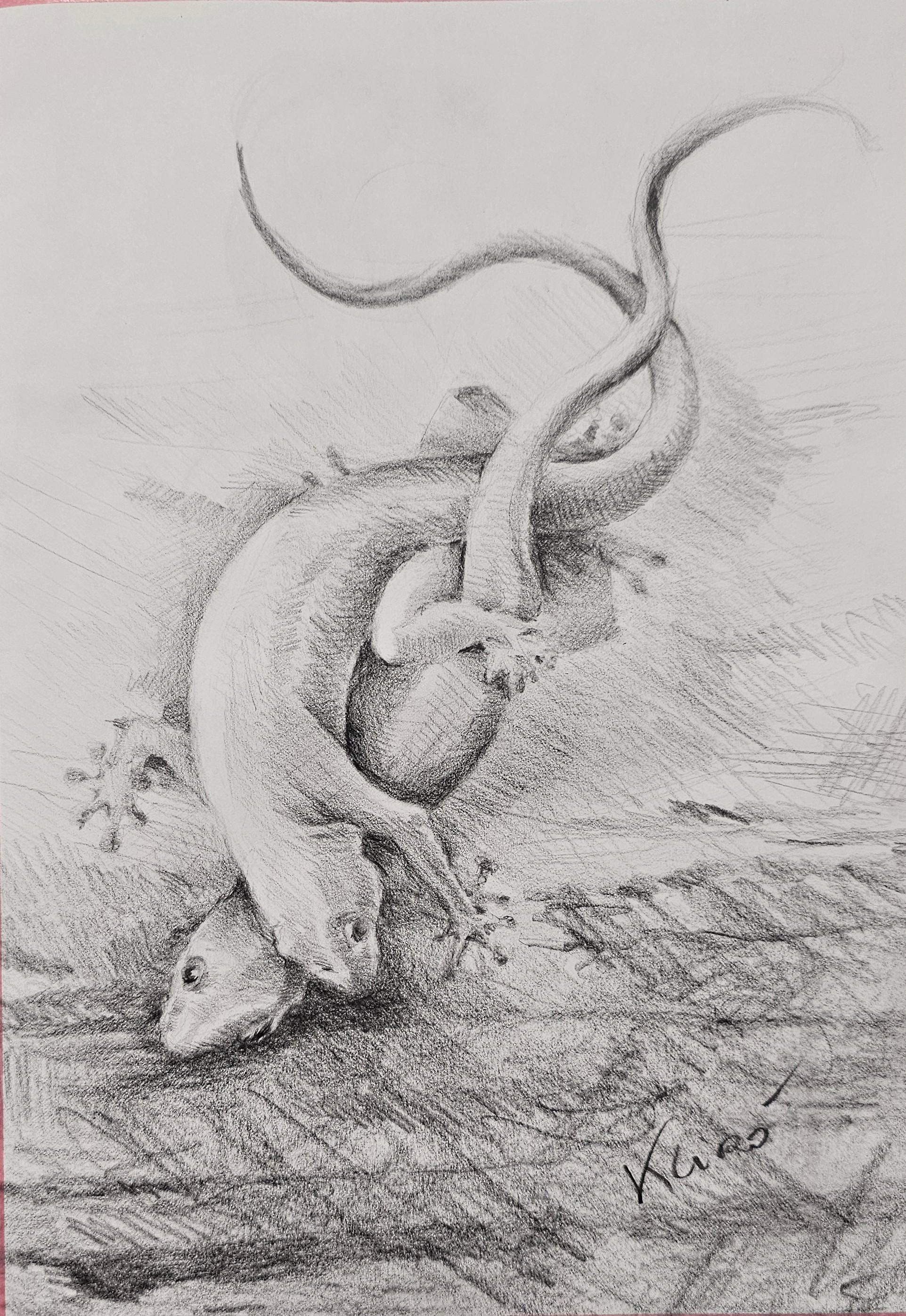 Disegno a matita di Klirò raffigurante due lucertole intrecciate