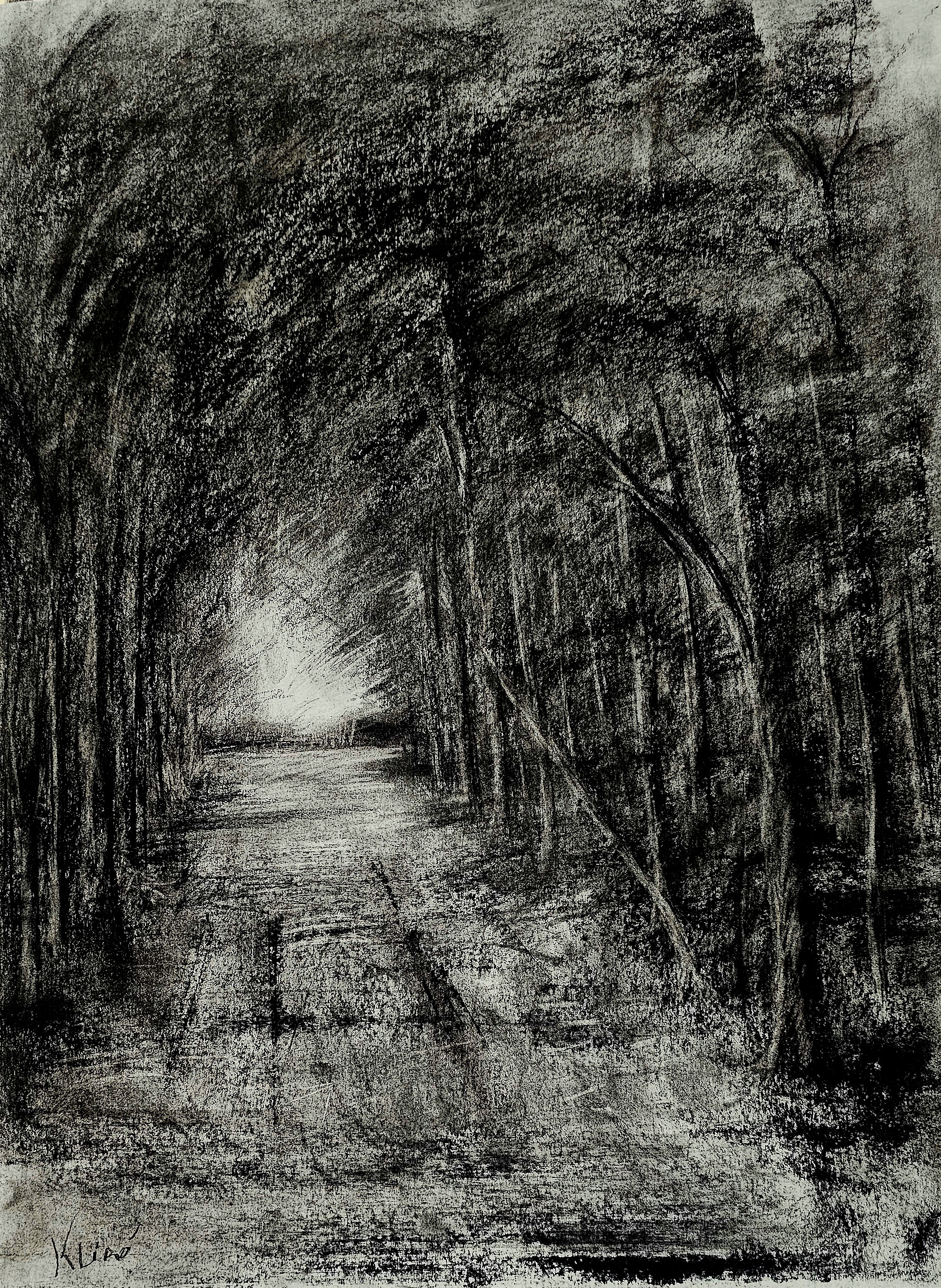 Disegno a carboncino di Klirò raffigurante viale alberato con luce in fondo
