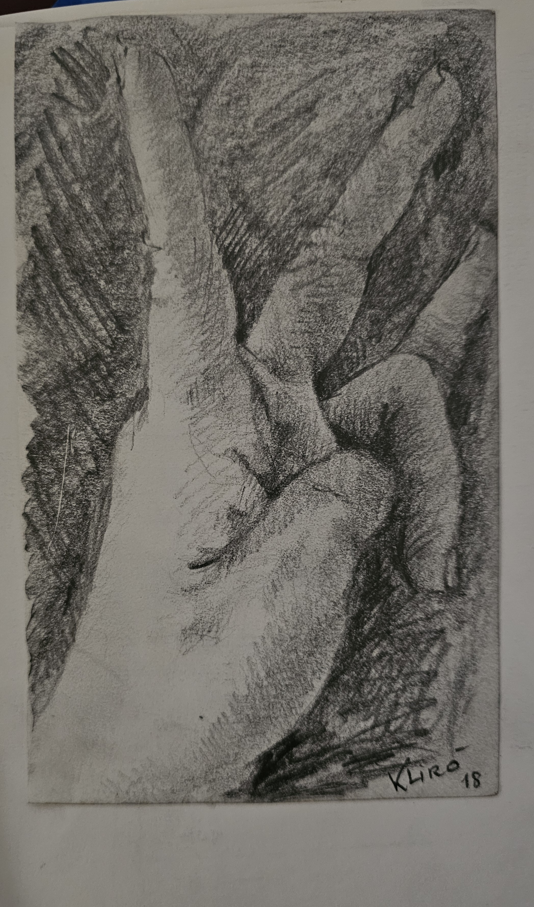 studio di mano grafite su carta Klirò