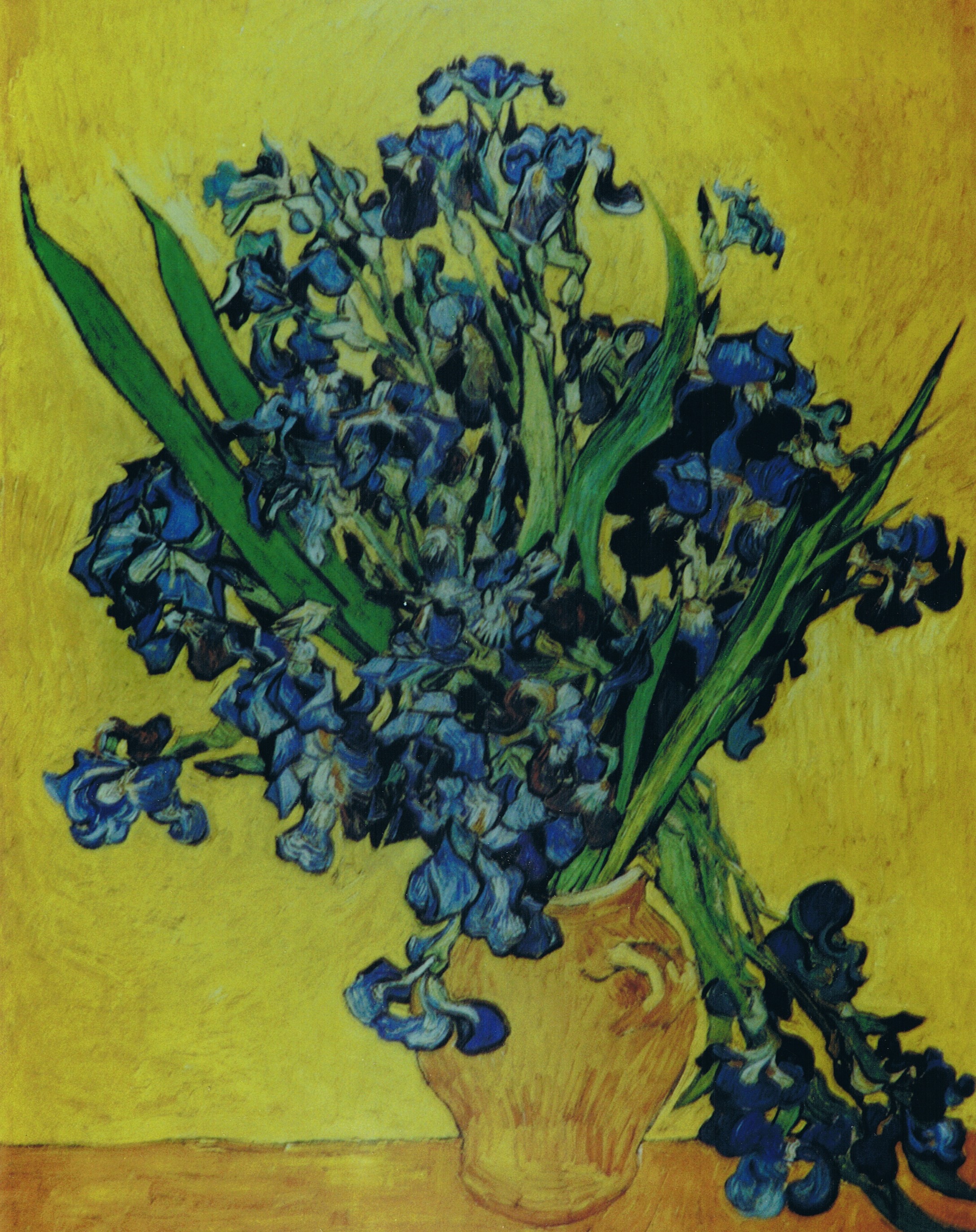 Vincent Van Gogh Vaso con Iris Klirò Clizia Omarini falso d'autore art copy master