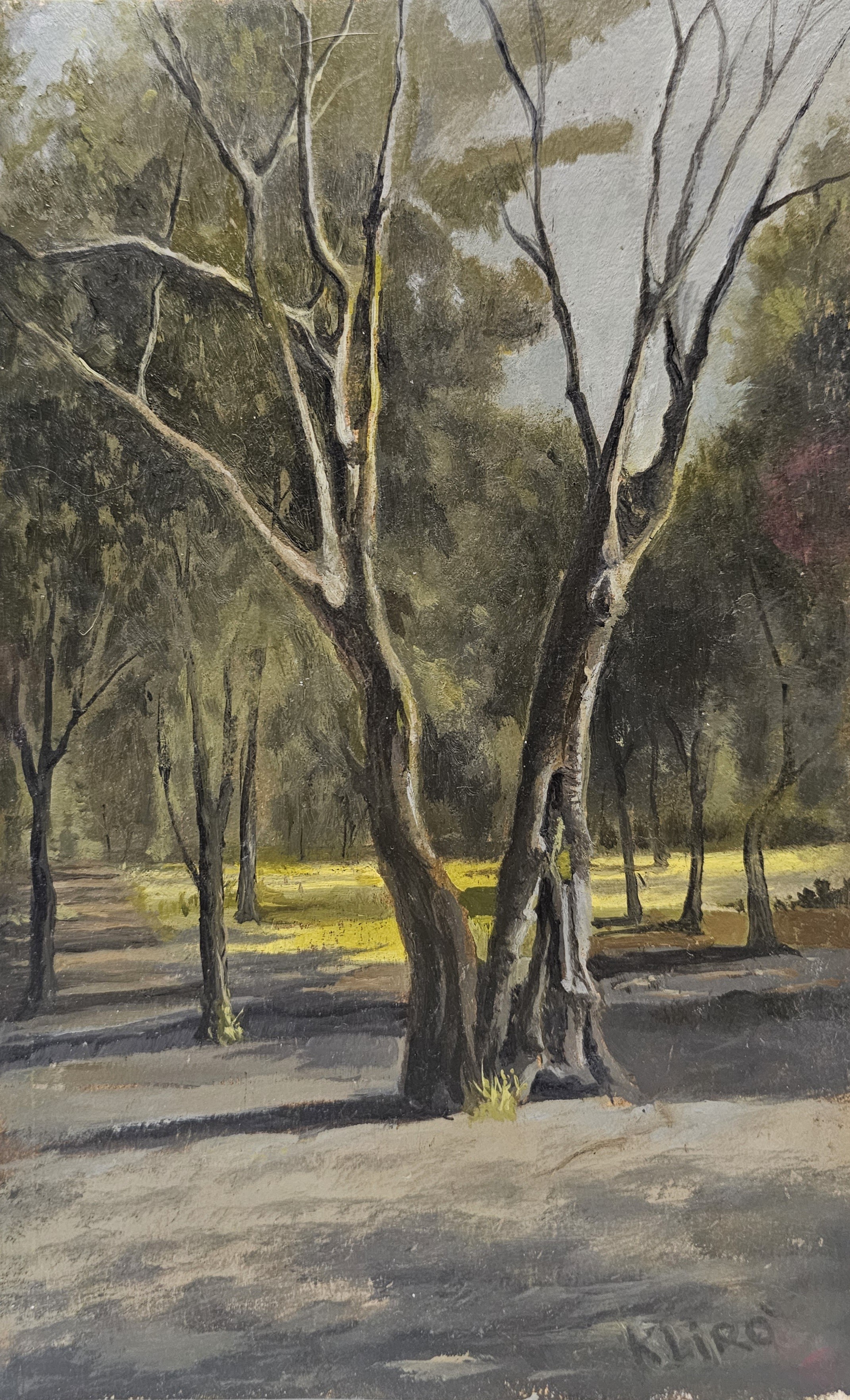 Albero di Villa Borghese dipinto ad olio su carta da Klirò